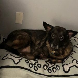 Meet your Posher, Gail